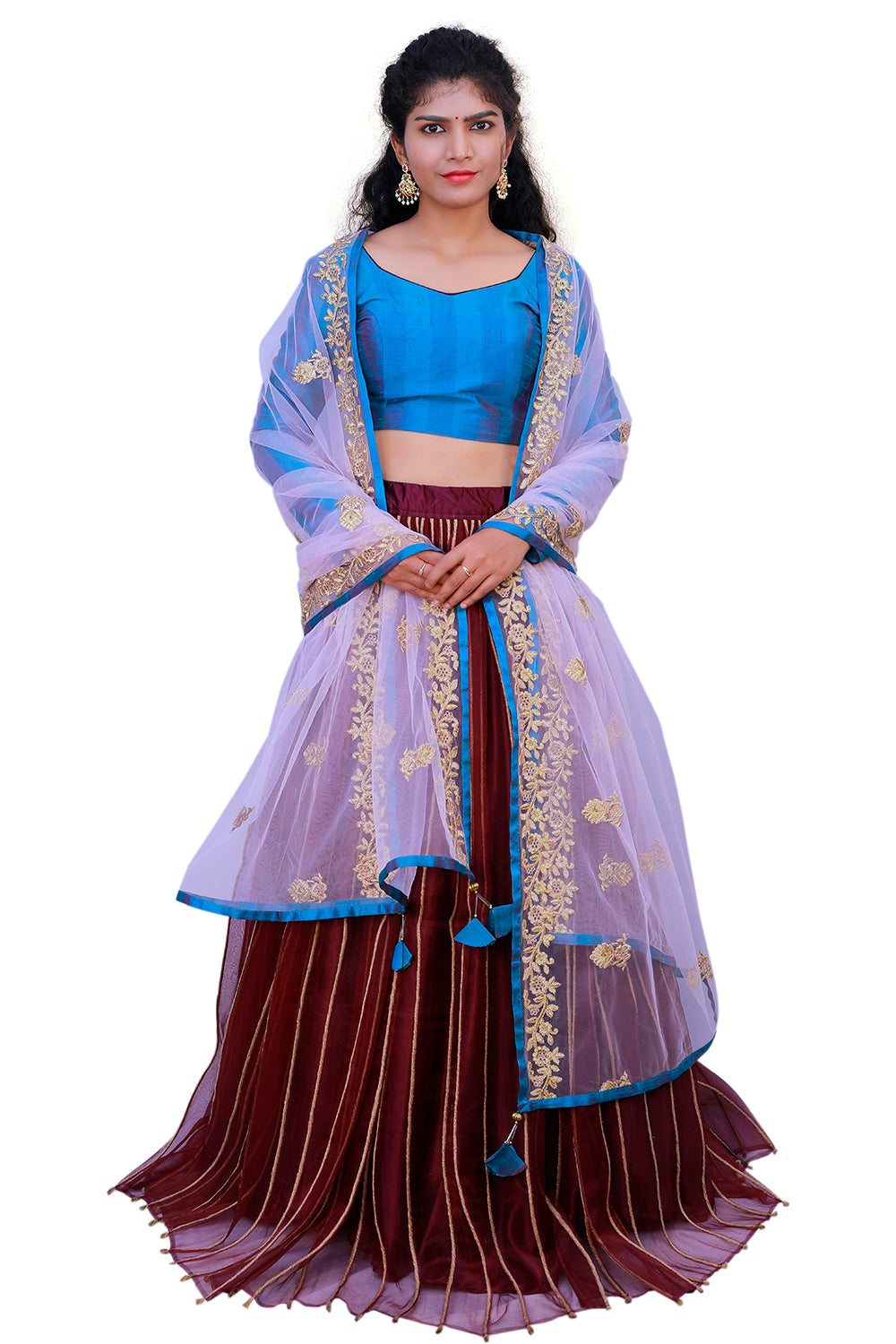 Blue & Brown Net Lehenga Choli with Dupatta | S3BLS194
