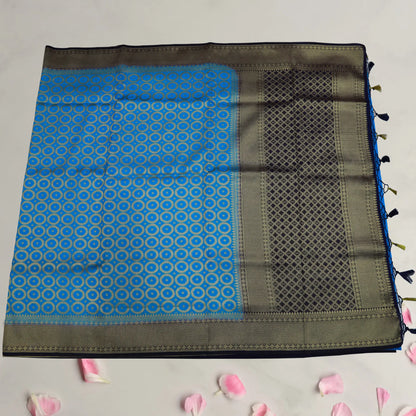 Blue and Gold Fancy Saree | Saree 2