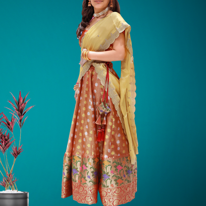 Lehenga Choli Set