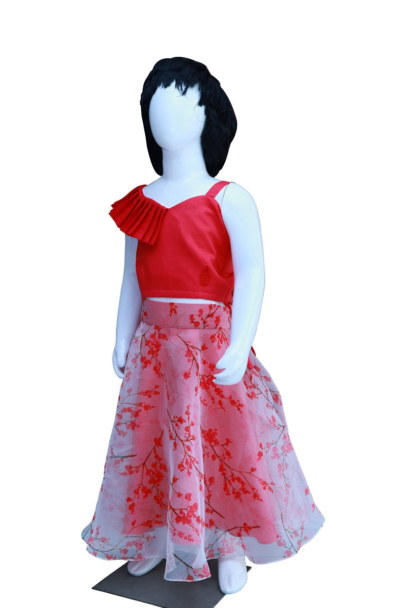 Baby Girl Pink Organza Top & Skirt | S3GD